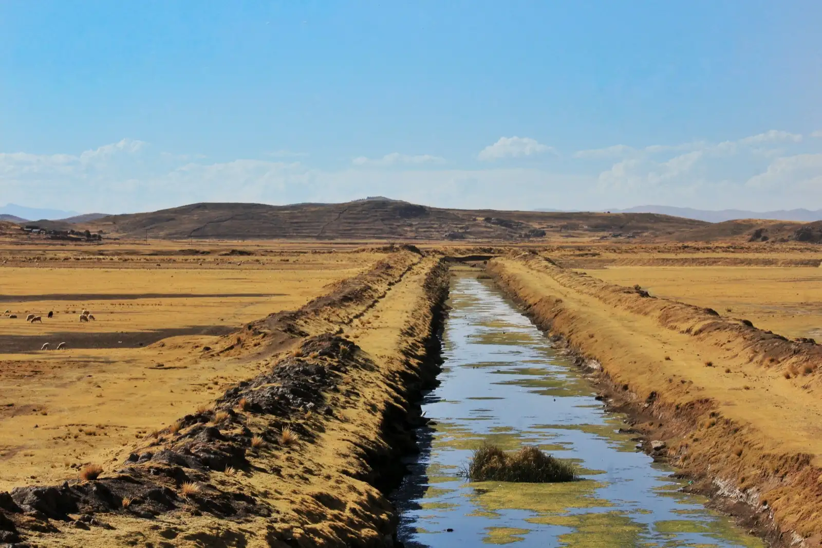 Irrigation ditch running through dry open ground toward low hills