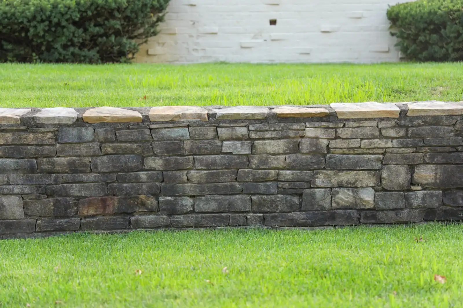 Low stacked stone garden retaining wall with flat capstones between two lawns