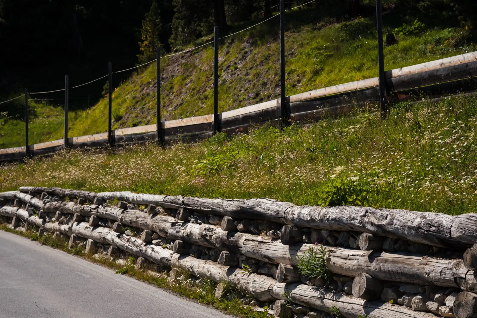Weathered log timber retaining wall holding a grassy roadside slope